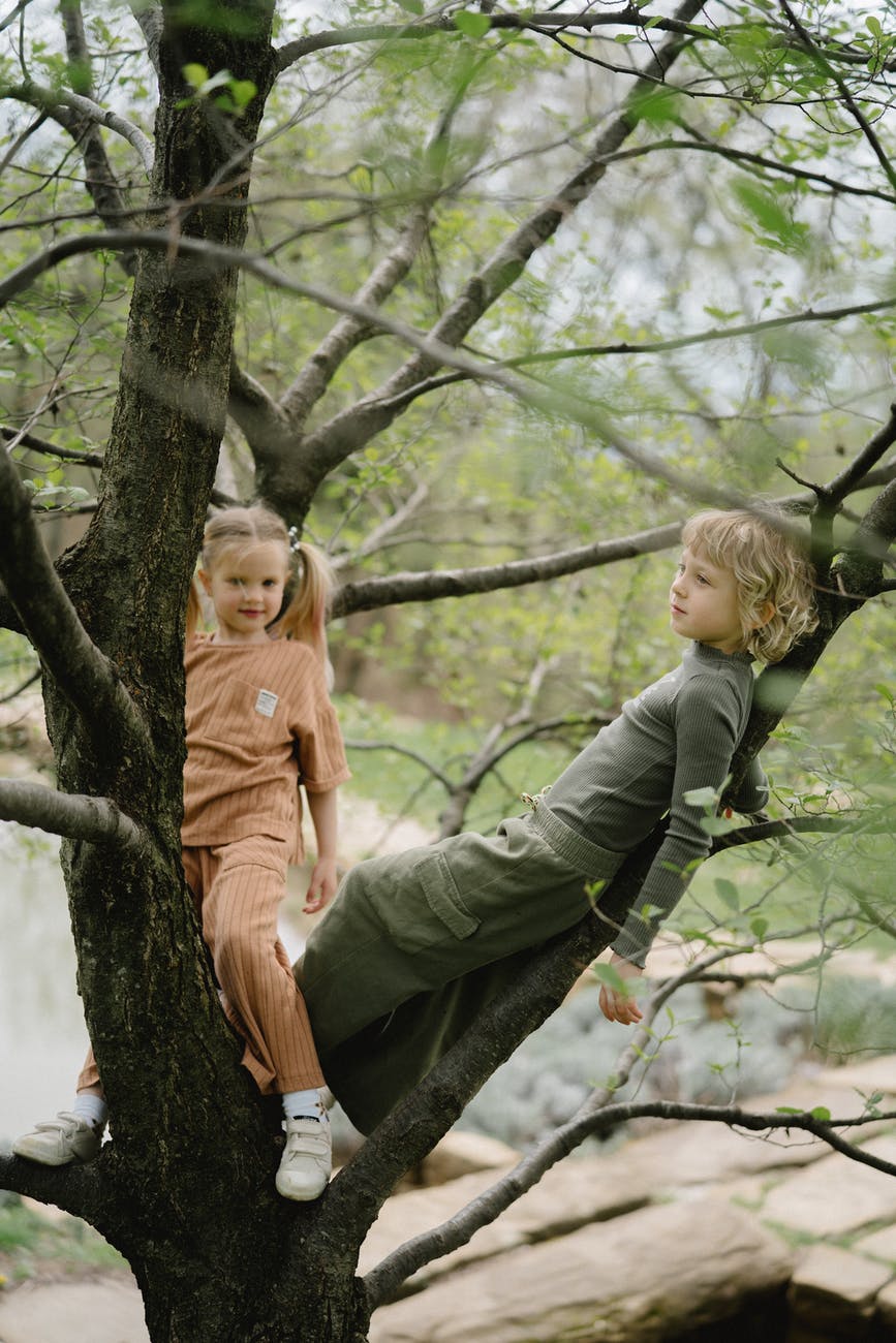 kids resting in tree branches