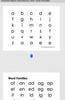 Letter Cards and Word Cards Printable FREE